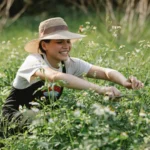 Los 10 mejores estilos de jardinería