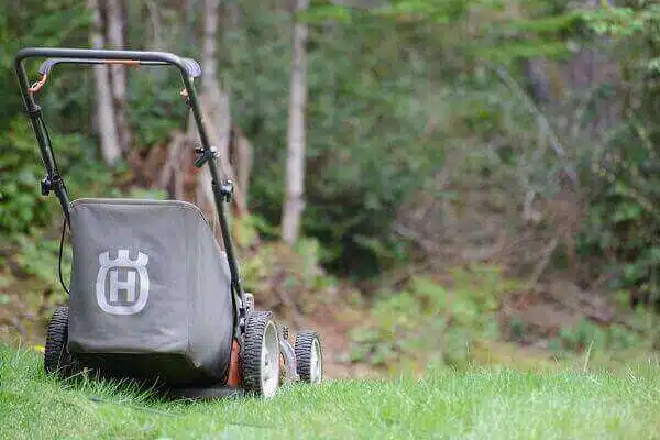 Cortacéspedes. rasentrimmer strom. best lawn mowers 2023. best home lawn mower 2023. mowers electric. best mowers for large yards. best mowers.